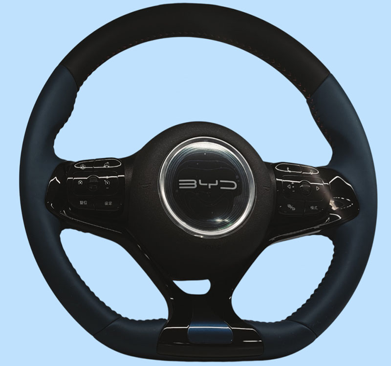 BYD 海鷗、海豚 E2（HOD）